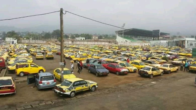 Taxis at check point Buea